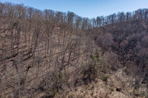 888 Shadden Road Gray Tn 37615, Gray, TN 37615 photo 17