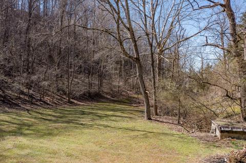 888 Shadden Road Gray Tn 37615, Gray, TN 37615 photo 23