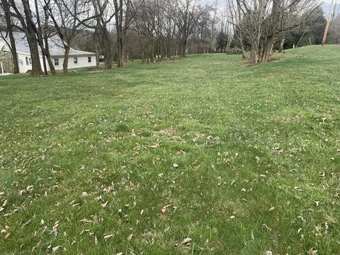 159 Kenzee Pl, Limestone, TN 37681 photo 1