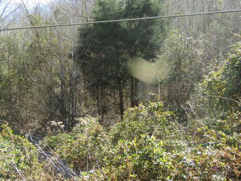 lot Apt 10 Davis Valley Road Afton Tn 37616, Afton, TN 37616