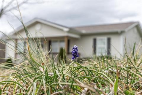 505 E Barton Ridge Road Greeneville Tn 37745, Greeneville, TN 37745 photo 40