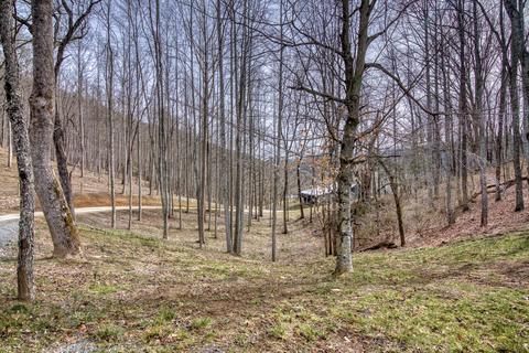 19373 N Fork River Road Abingdon Va 24210, Abingdon, VA 24210 photo 52