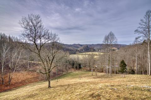 19373 N Fork River Road Abingdon Va 24210, Abingdon, VA 24210 photo 28