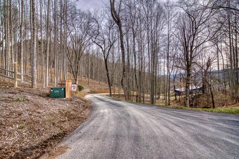 19373 N Fork River Road Abingdon Va 24210, Abingdon, VA 24210 photo 53