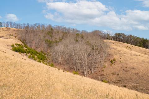 504 Cripple Creek Road Watauga Tn 37694, Watauga, TN 37694 photo 11