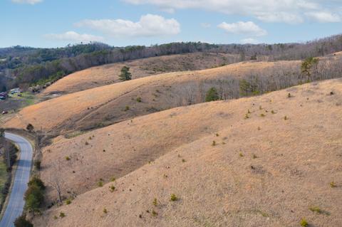 504 Cripple Creek Road Watauga Tn 37694, Watauga, TN 37694 photo 8