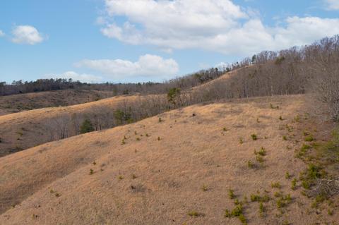 504 Cripple Creek Road Watauga Tn 37694, Watauga, TN 37694 photo 9