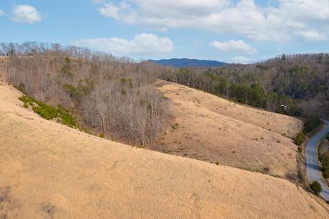 504 Cripple Creek Road Watauga Tn 37694, Watauga, TN 37694 photo 10
