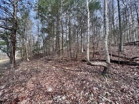 459 Silver Leaf Lane Chuckey Tn 37641, Chuckey, TN 37641 photo 35