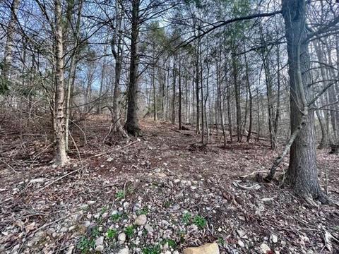 459 Silver Leaf Lane Chuckey Tn 37641, Chuckey, TN 37641 photo 36