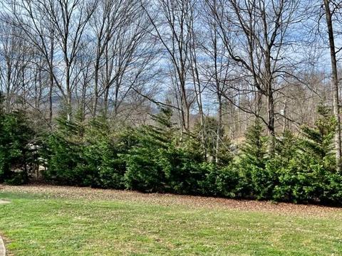 459 Silver Leaf Lane Chuckey Tn 37641, Chuckey, TN 37641 photo 37