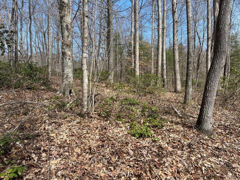 lot6 Jess Hurley Elizabethton Tn 37643, Elizabethton, TN 37643