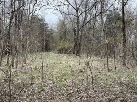 tbd Mccarty Hollow Road Jonesborough Tn 37659, Jonesborough, TN 37659