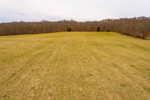 149 Hoard Road Limestone Tn 37681, Limestone, TN 37681 photo 31