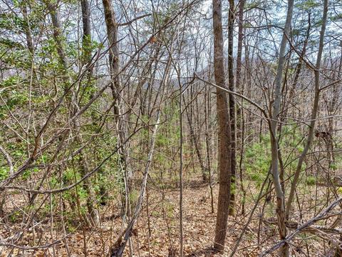 Lots 78-79 Bear Track Way, Del Rio, TN 37727