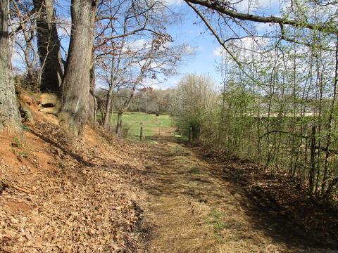 0 Muddy Creek Blountville Tn 37617, Blountville, TN 37617