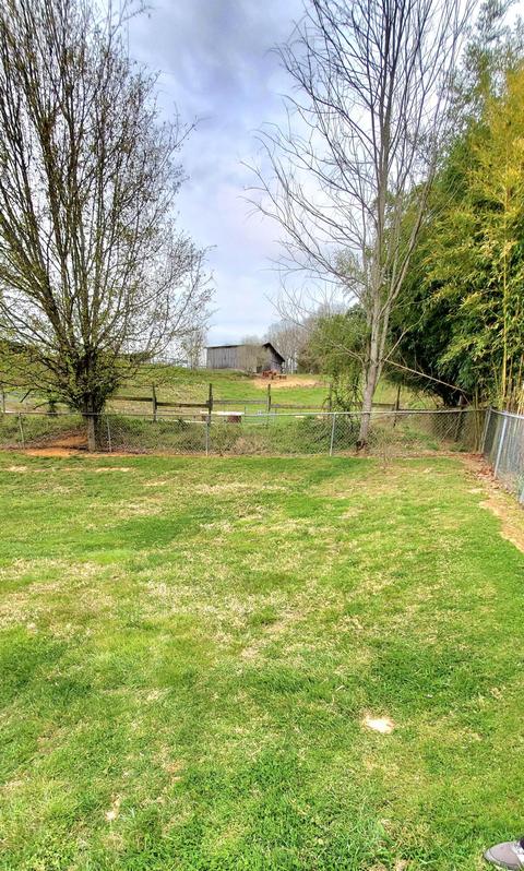 122 Fire Hall Road Fall Branch Tn 37656, Fall Branch, TN 37656 photo 34