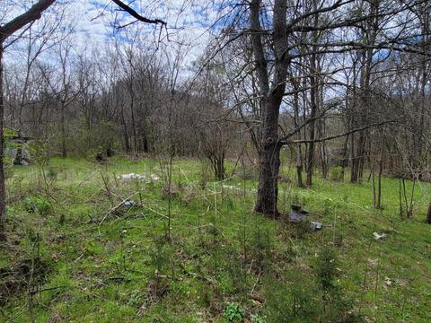 3125 Glendale Road Bybee Tn 37713, Bybee, TN 37713 photo 11
