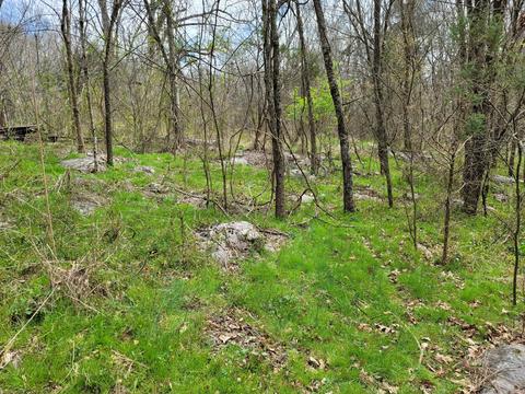 3125 Glendale Road Bybee Tn 37713, Bybee, TN 37713 photo 7