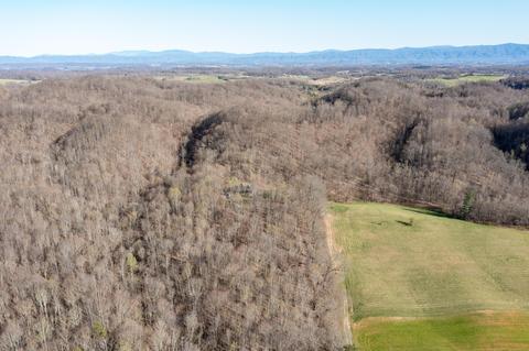 5730 Old Snapps Ferry Road Limestone Tn 37681, Limestone, TN 37681 photo 35