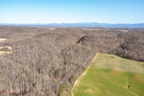 5730 Old Snapps Ferry Road Limestone Tn 37681, Limestone, TN 37681 photo 39
