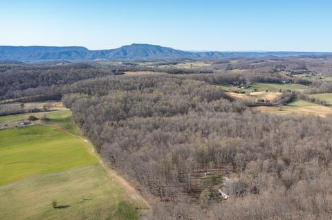 5730 Old Snapps Ferry Road Limestone Tn 37681, Limestone, TN 37681 photo 45