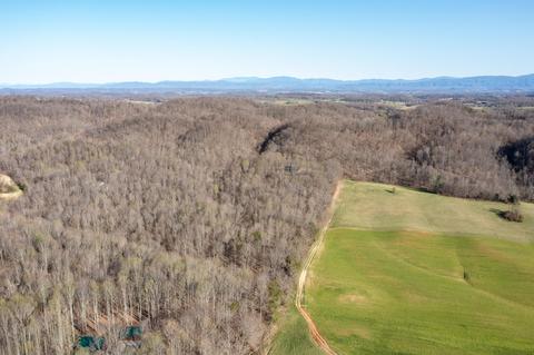 5730 Old Snapps Ferry Road Limestone Tn 37681, Limestone, TN 37681 photo 38