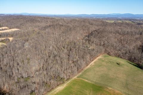 5730 Old Snapps Ferry Road Limestone Tn 37681, Limestone, TN 37681 photo 41
