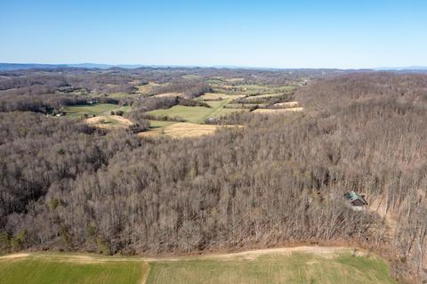 5730 Old Snapps Ferry Road Limestone Tn 37681, Limestone, TN 37681 photo 43