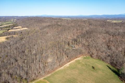 5730 Old Snapps Ferry Road Limestone Tn 37681, Limestone, TN 37681 photo 42
