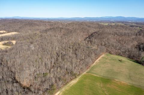 5730 Old Snapps Ferry Road Limestone Tn 37681, Limestone, TN 37681 photo 40
