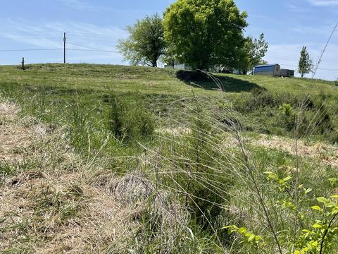 1970 Mountain Valley Road Mohawk Tn 37810, Mohawk, TN 37810 photo 19