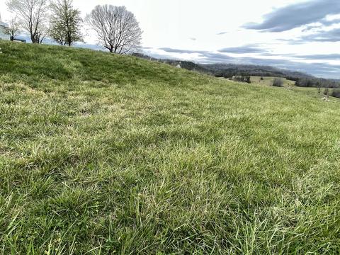 1970 Mountain Valley Road Mohawk Tn 37810, Mohawk, TN 37810 photo 9