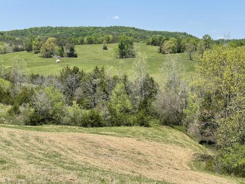 1970 Mountain Valley Road Mohawk Tn 37810, Mohawk, TN 37810 photo 21