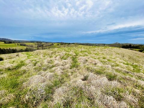 1970 Mountain Valley Road Mohawk Tn 37810, Mohawk, TN 37810 photo 10