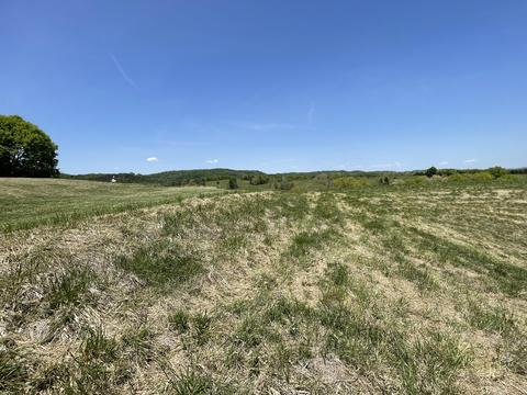 1970 Mountain Valley Road Mohawk Tn 37810, Mohawk, TN 37810 photo 18