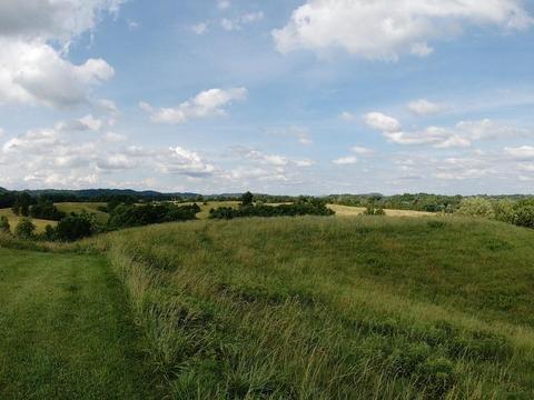 1970 Mountain Valley Road Mohawk Tn 37810, Mohawk, TN 37810 photo 37