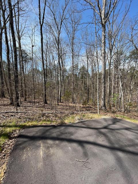 290 Forest View Ln, Mohawk, TN 37810 photo 1