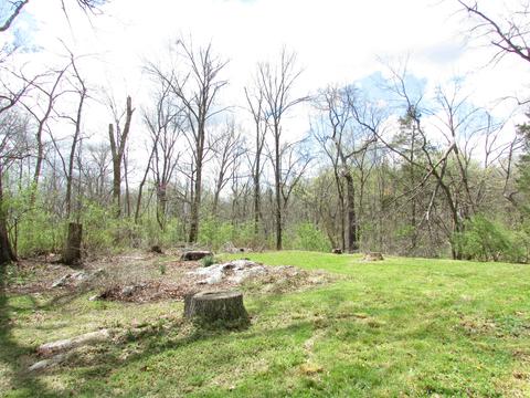 192 Smalling Road Watauga Tn 37694, Watauga, TN 37694 photo 32