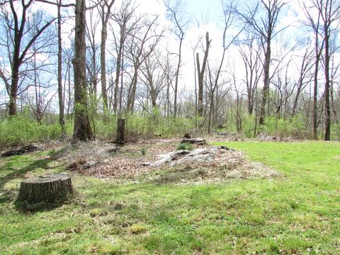 192 Smalling Road Watauga Tn 37694, Watauga, TN 37694 photo 3