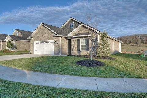 2328 Haystack Circle Piney Flats Tn 37686, Piney Flats, TN 37686 photo 4