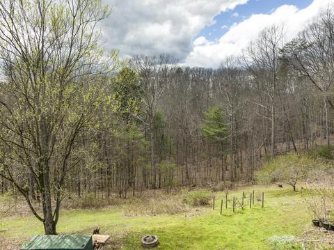 29213 Blue Spring Road Meadowview Va 24361, Meadowview, VA 24361 photo 36