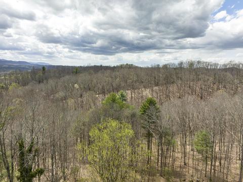 29213 Blue Spring Road Meadowview Va 24361, Meadowview, VA 24361 photo 38