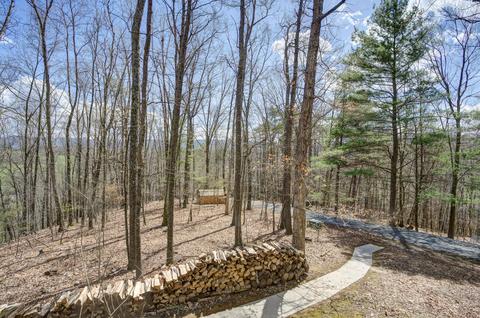 29213 Blue Spring Road Meadowview Va 24361, Meadowview, VA 24361 photo 35