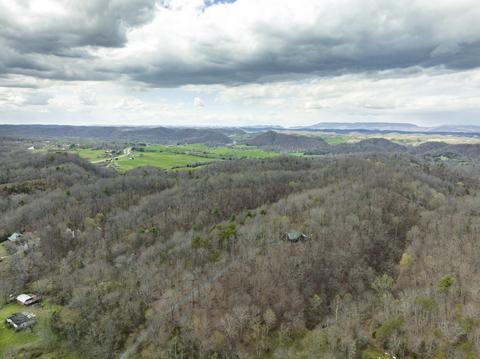 29213 Blue Spring Road Meadowview Va 24361, Meadowview, VA 24361 photo 48
