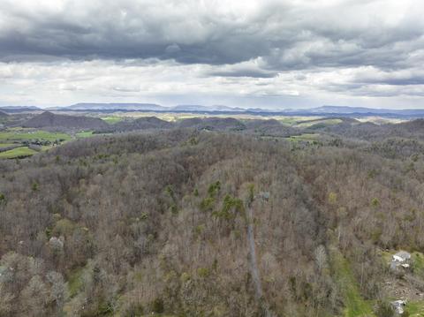 29213 Blue Spring Road Meadowview Va 24361, Meadowview, VA 24361 photo 47