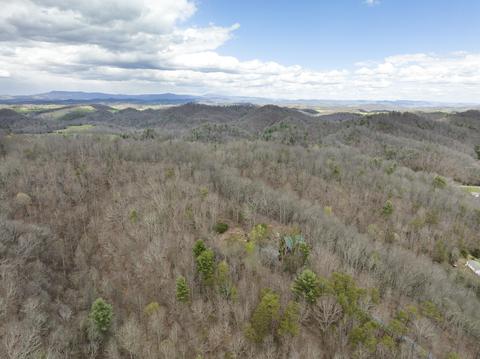 29213 Blue Spring Road Meadowview Va 24361, Meadowview, VA 24361 photo 46