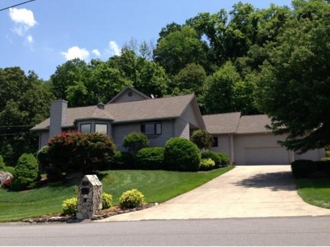 132 Mcafee Blf, Gray, TN 37615 photo 1