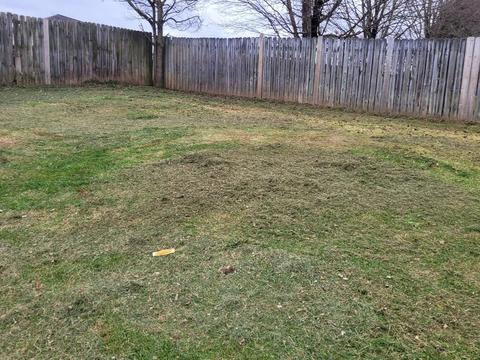 143 Hawk Lane Gray Tn 37615, Gray, TN 37615 photo 13