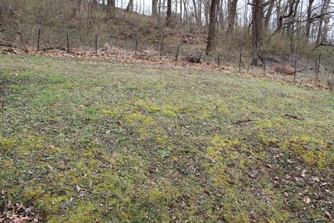 306 E Chestnut Street Johnson City Tn 37601, Johnson City, TN 37601 photo 17
